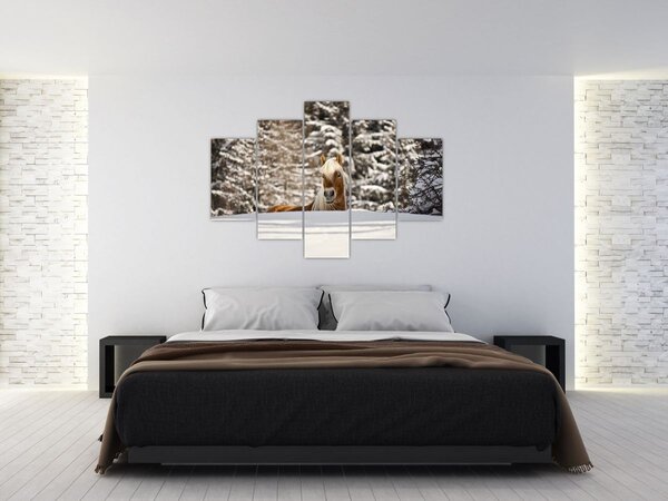 Obraz - Kôň v zimnej krajine (150x105 cm)