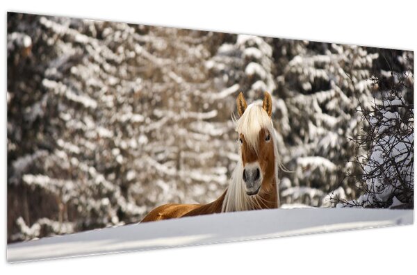 Obraz - Kôň v zimnej krajine (120x50 cm)