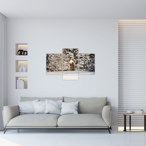Obraz - Kôň v zimnej krajine (90x60 cm)