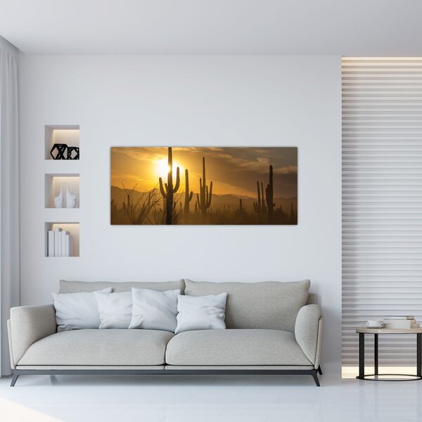 Obraz - Kaktusy Saguaro (120x50 cm)