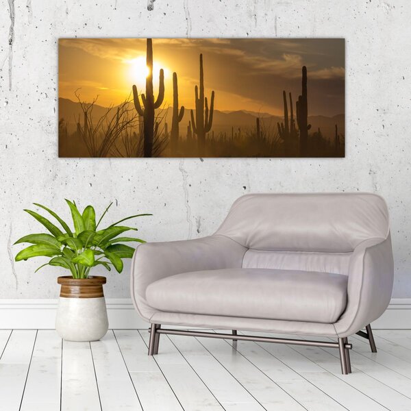 Obraz - Kaktusy Saguaro (120x50 cm)