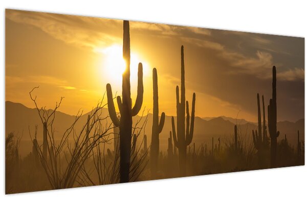 Obraz - Kaktusy Saguaro (120x50 cm)