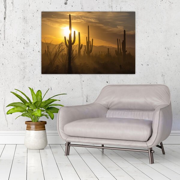 Obraz - Kaktusy Saguaro (90x60 cm)