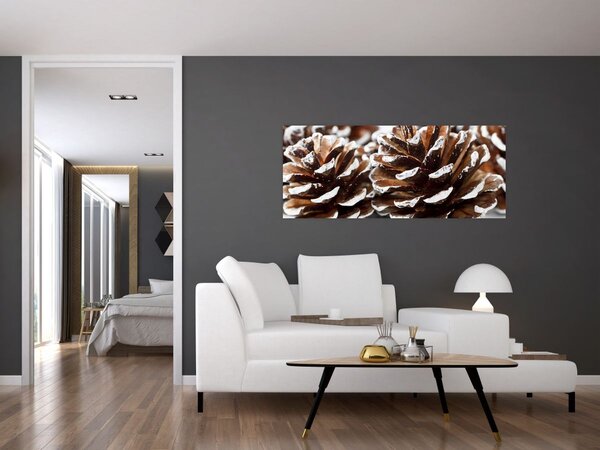 Obraz - Šišky (120x50 cm)