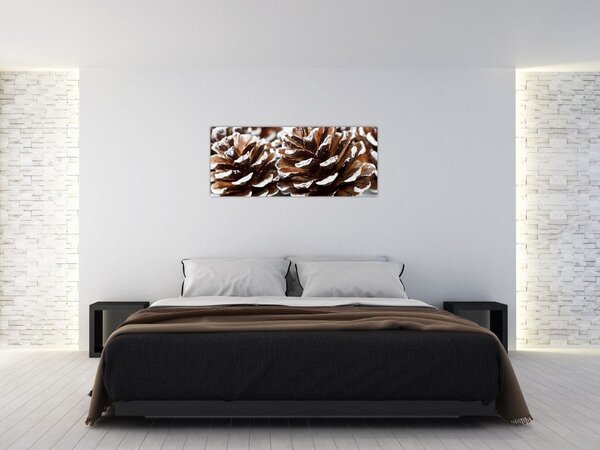 Obraz - Šišky (120x50 cm)