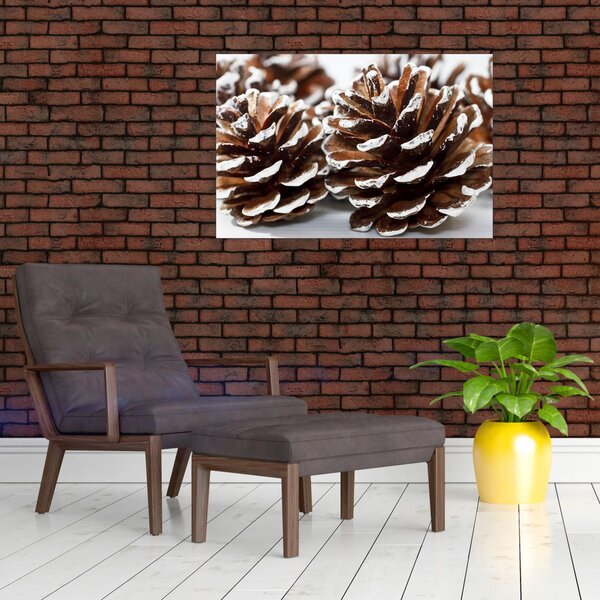 Obraz - Šišky (90x60 cm)