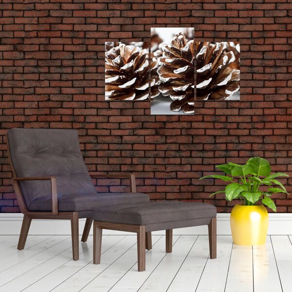 Obraz - Šišky (90x60 cm)