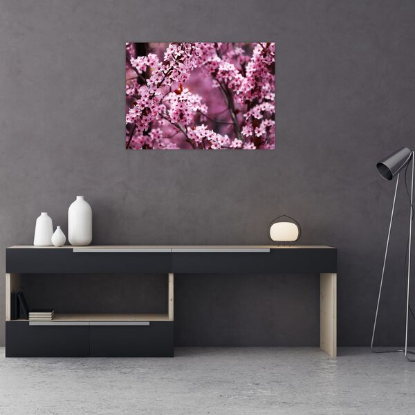 Obraz - Ružová sakura (70x50 cm)