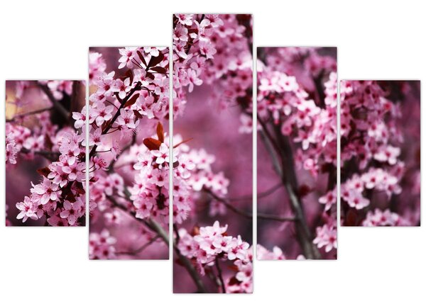 Obraz - Ružová sakura (150x105 cm)