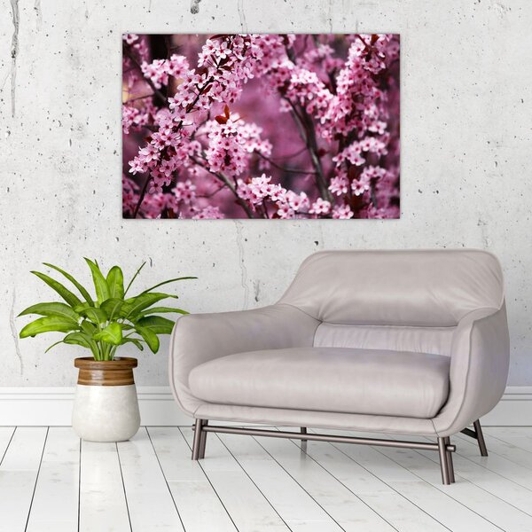Obraz - Ružová sakura (90x60 cm)