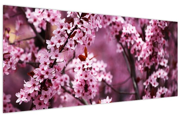 Obraz - Ružová sakura (120x50 cm)