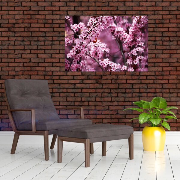 Obraz - Ružová sakura (90x60 cm)