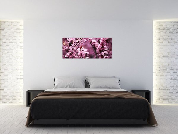 Obraz - Ružová sakura (120x50 cm)