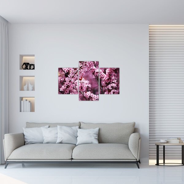 Obraz - Ružová sakura (90x60 cm)