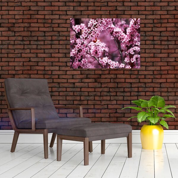 Obraz - Ružová sakura (70x50 cm)