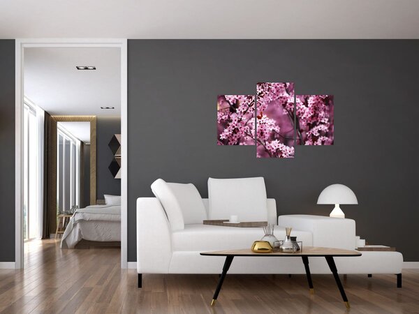 Obraz - Ružová sakura (90x60 cm)