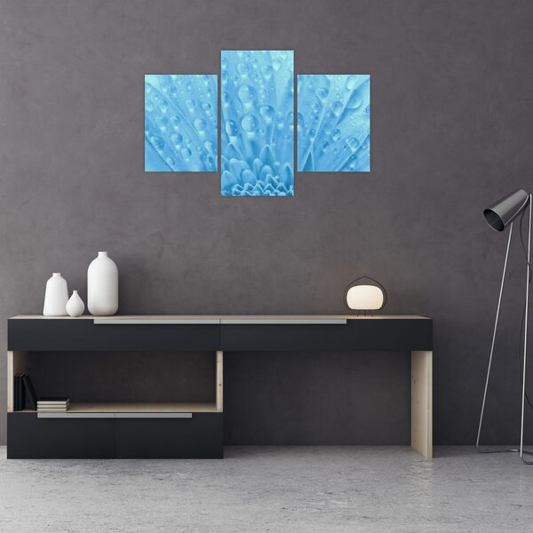 Obraz - Makro záber kvetu (90x60 cm)