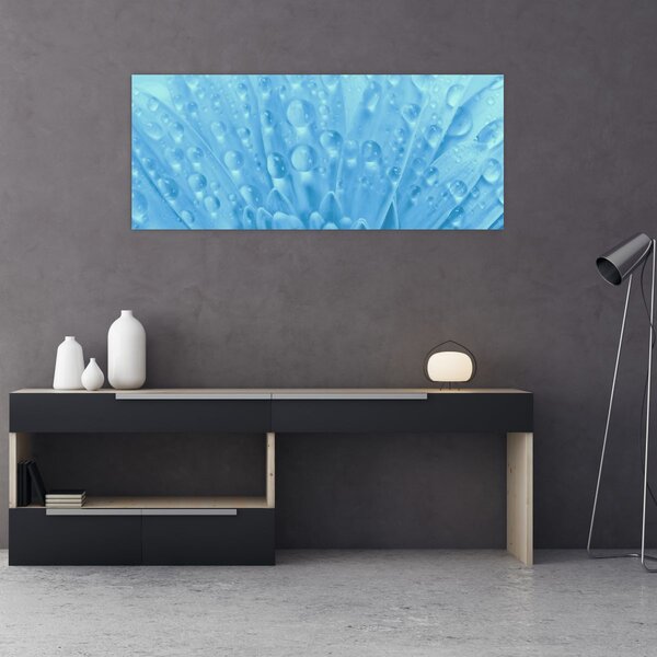 Obraz - Makro záber kvetu (120x50 cm)