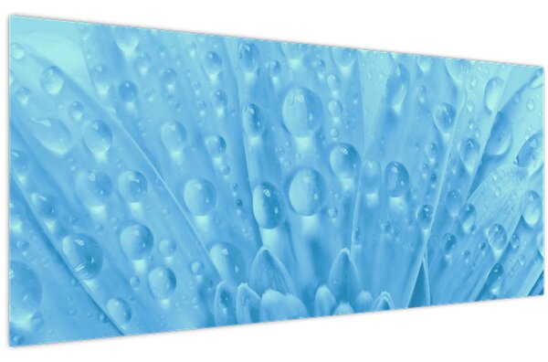 Obraz - Makro záber kvetu (120x50 cm)