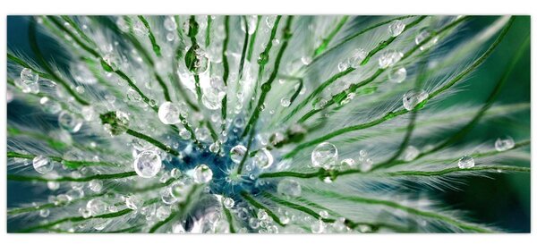Obraz - Makro snímka kvetu (120x50 cm)