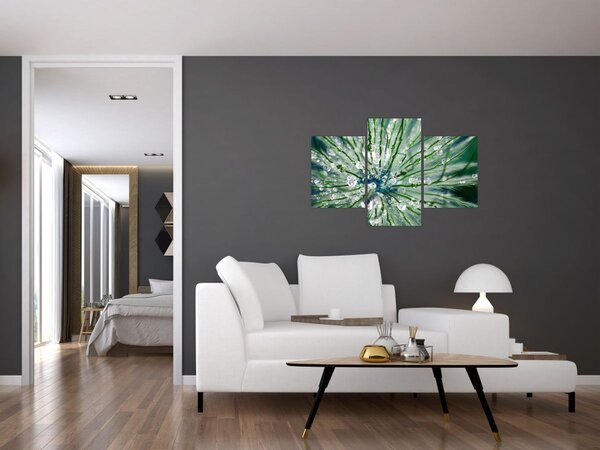 Obraz - Makro snímka kvetu (90x60 cm)
