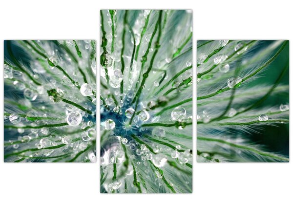 Obraz - Makro snímka kvetu (90x60 cm)