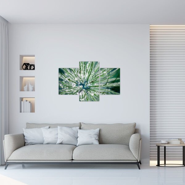 Obraz - Makro snímka kvetu (90x60 cm)