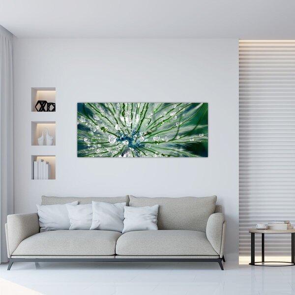 Obraz - Makro snímka kvetu (120x50 cm)