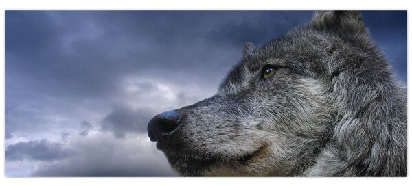 Obraz - Vlčia hlava (120x50 cm)