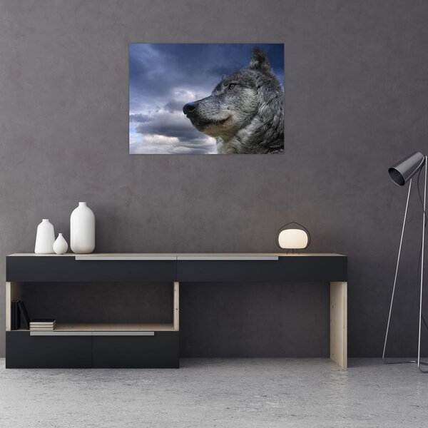 Obraz - Vlčia hlava (70x50 cm)