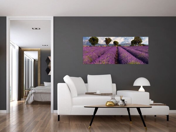 Obraz - Levanduľové pole a hory (120x50 cm)