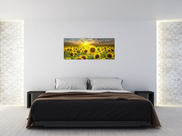 Obraz - Slnečnica pri západe slnka (120x50 cm)