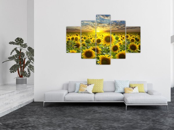Obraz - Slnečnica pri západe slnka (150x105 cm)