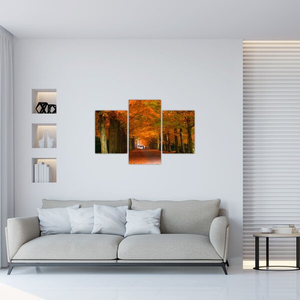 Obraz - Jeseň Alej stromov (90x60 cm)