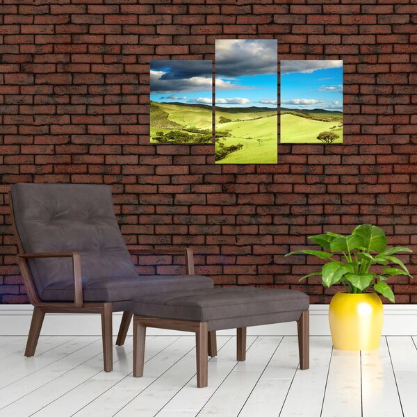 Obraz - Zelená krajina s pahorkami (90x60 cm)