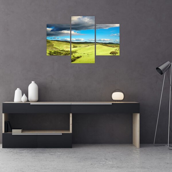 Obraz - Zelená krajina s pahorkami (90x60 cm)