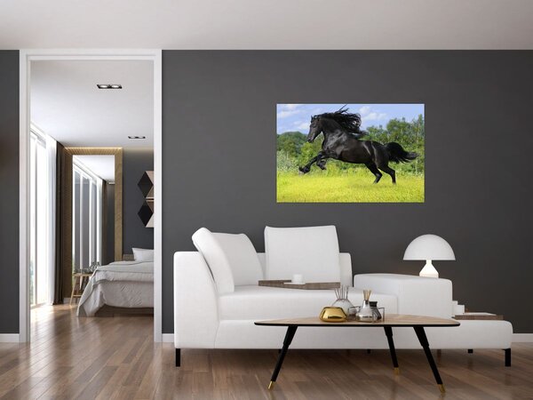 Obraz - Kôň s vzdušnou hrivou (90x60 cm)