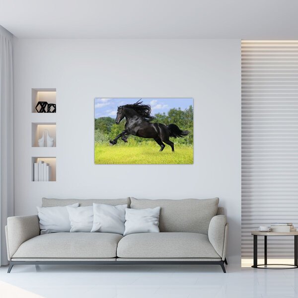 Obraz - Kôň s vzdušnou hrivou (90x60 cm)