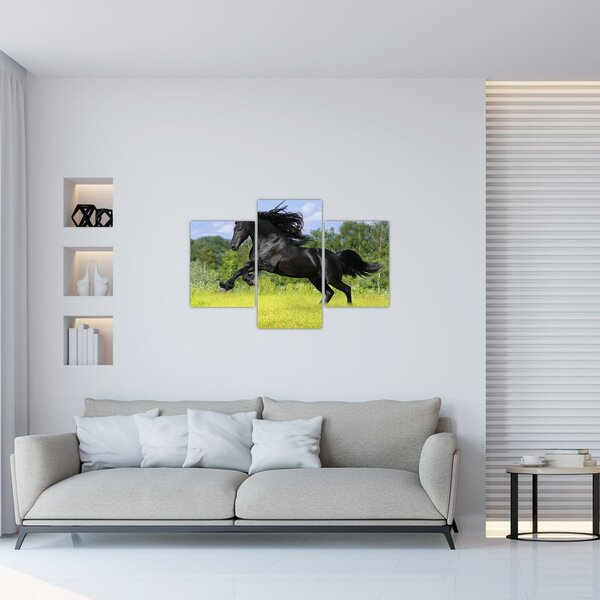 Obraz - Kôň s vzdušnou hrivou (90x60 cm)