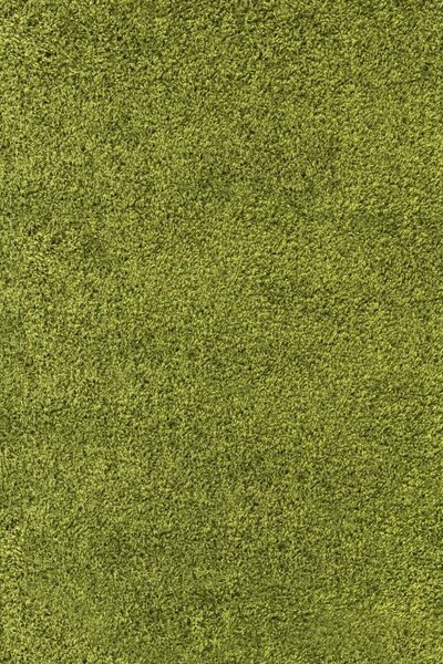 Ayyildiz koberce Kusový koberec Life Shaggy 1500 green - 80x250 cm