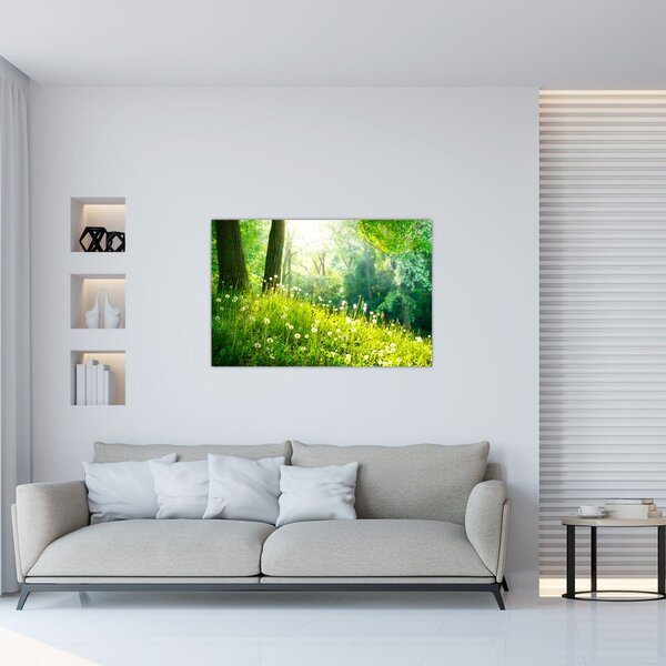 Obraz - Magická lúka plná púpav (90x60 cm)