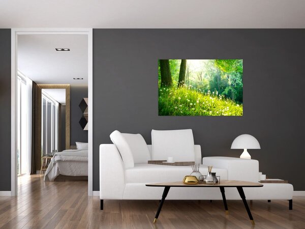 Obraz - Magická lúka plná púpav (90x60 cm)