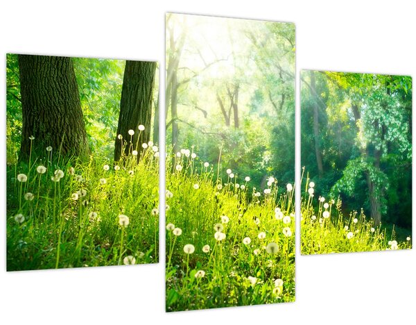 Obraz - Magická lúka plná púpav (90x60 cm)