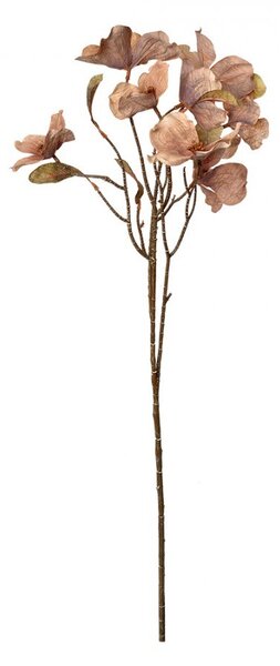 Artificial Flower 72 Cm Beige Plastic - 12*8*72 cm - Clayre & Eef