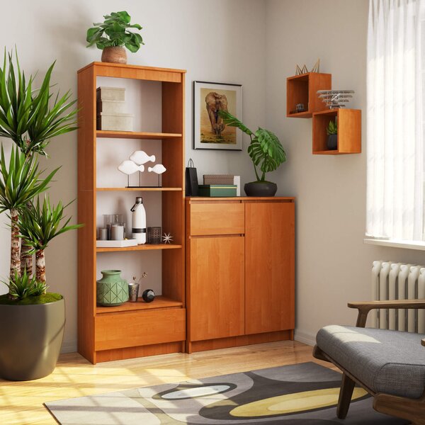 Ak furniture Kancelársky regál Rexa 60 cm 1 zásuvka a 4 police jelša