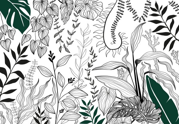 Fototapeta - Botanická záhrada (147x102 cm)