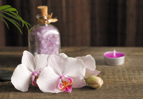 Fototapeta - Orchidey a spa (147x102 cm)