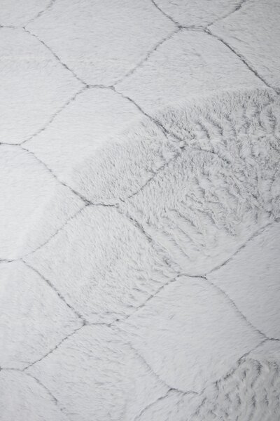 Koberec Rabbit 3D Carving GREY/WHITE 1 rozmery koberec: 80x140 cm