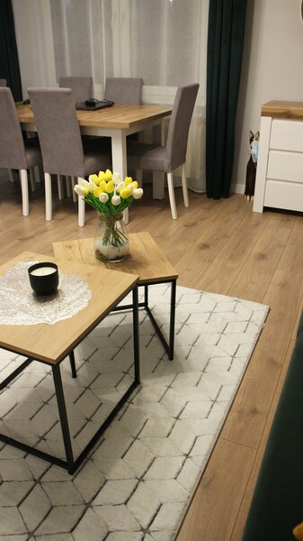 Koberec Rabbit 3D Carving GREY/WHITE 2 rozmery koberec: 80x140 cm