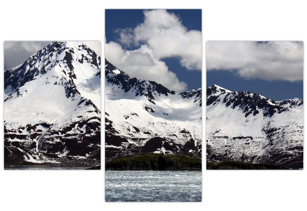 Obraz - Národný park Kenai Fjords (90x60 cm)